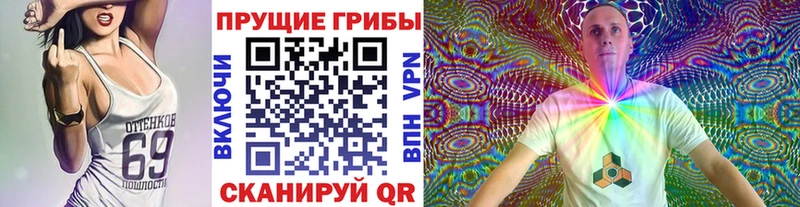 Галлюциногенные грибы мухоморы  shop как зайти  Ядрин  как найти закладки  ОМГ ОМГ зеркало 