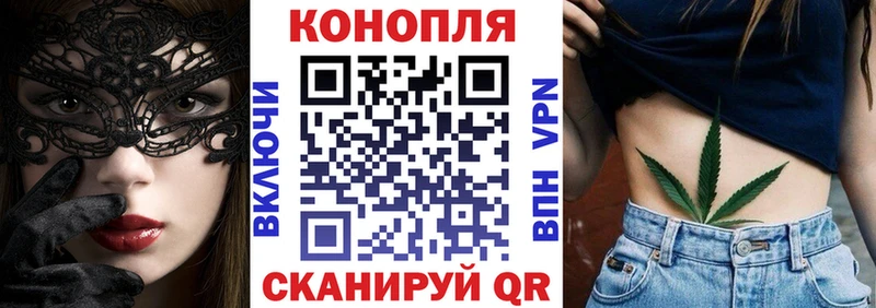 Бошки Шишки VHQ  Ядрин 